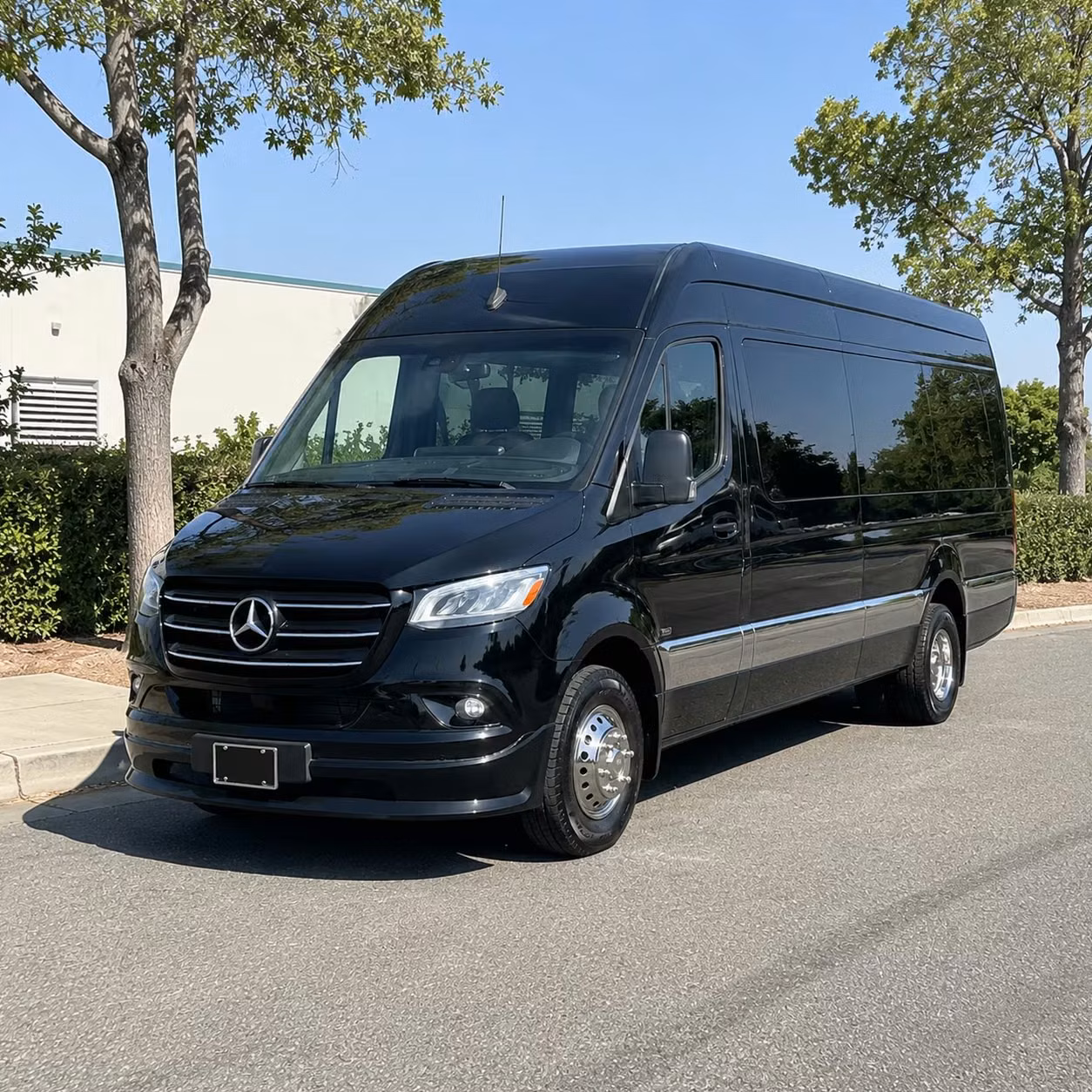 sprinter limousine